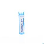 Packshot Causticum Hahnemanni 9ch Gr 4g Boiron