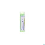 Packshot Ferrum Phosphoricum 5ch Gr 4g Boiron