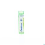 Packshot Causticum Hahnemanni 5ch Gr 4g Boiron