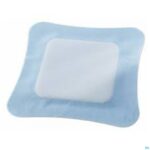 Productshot Vliwasorb Pro Verband 12,5x12,5cm 10 32641