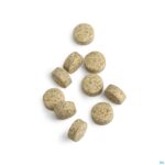 Pillshot Se Zyme Forte Biotics Comp 100