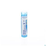 Packshot Ferrum Phosphoricum 9ch Gr 4g Boiron