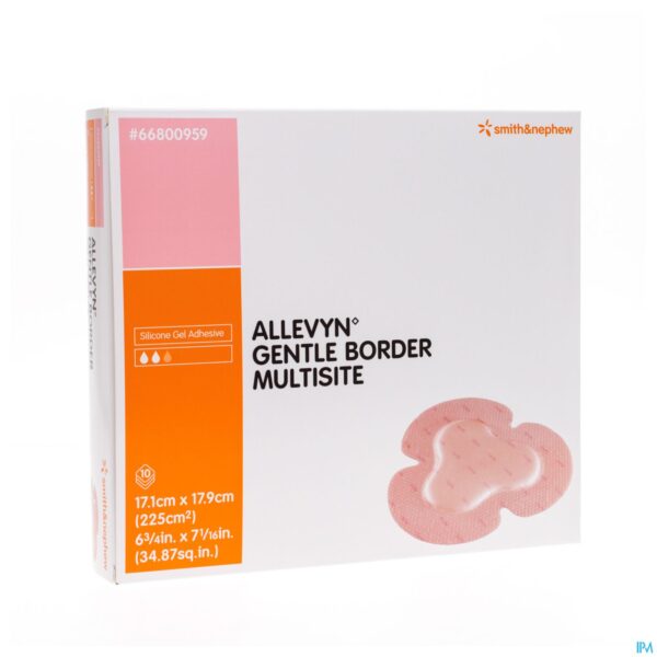 Packshot Allevyn Gentle Border Multisite Indiv. 10 66800959