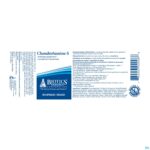 Lifestyle_image Chondrosamine-s Biotics Caps 90