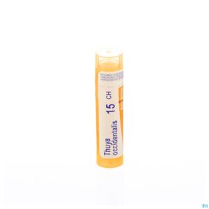 Packshot Thuya Occidentalis 15ch Gr 4g Boiron