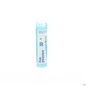 Packshot Ruta Graveolens 30k Gr 4g Boiron