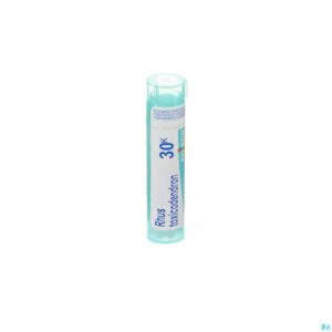 Packshot Rhus Toxicodendron 30k Gr 4g Boiron