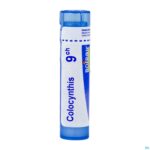 Packshot Colocynthis 9ch Gr 4g Boiron