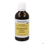 Productshot Pranarom Po Calophyllus Bio 50ml