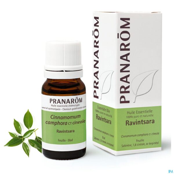 Lifestyle_image Pranarom Eo Ravintsara 100ml
