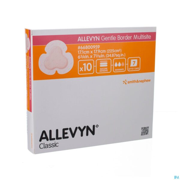 Packshot Allevyn Gentle Border Multisite Indiv. 10 66800959