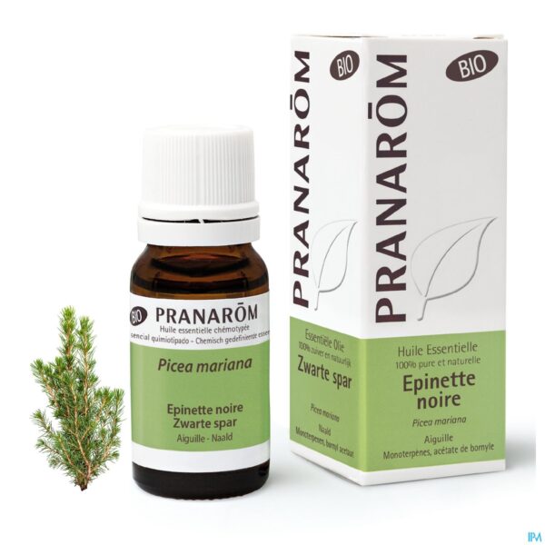 Lifestyle_image Pranarom Eo Zwarte Spar Bio 10ml