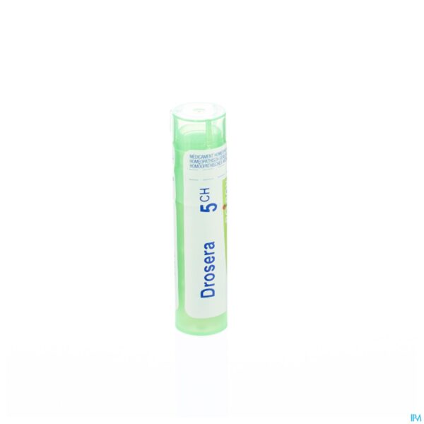 Packshot Drosera 5ch Gr 4g Boiron