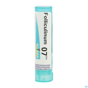 Packshot Folliculinum 7ch Gr 4g Boiron