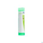 Packshot Rhus Toxicodendron 5ch Gr 4g Boiron