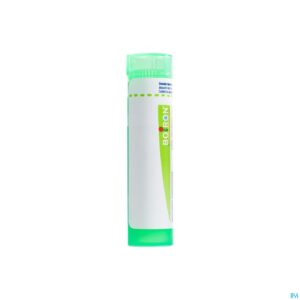 Packshot Rhus Toxicodendron 5ch Gr 4g Boiron