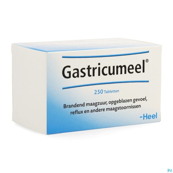 Packshot Gastricumeel Comp 250 Packshot Gastricumeel Comp 250