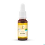 Packshot Bachbloesem Bio N°14 Heather 20ml Packshot Bachbloesem Bio N°14 Heather 20ml