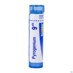 Packshot Pyrogenium 9ch Gr 4g Boiron