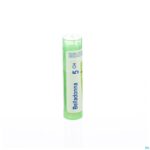 Packshot Belladonna 5ch Gr 4g Boiron