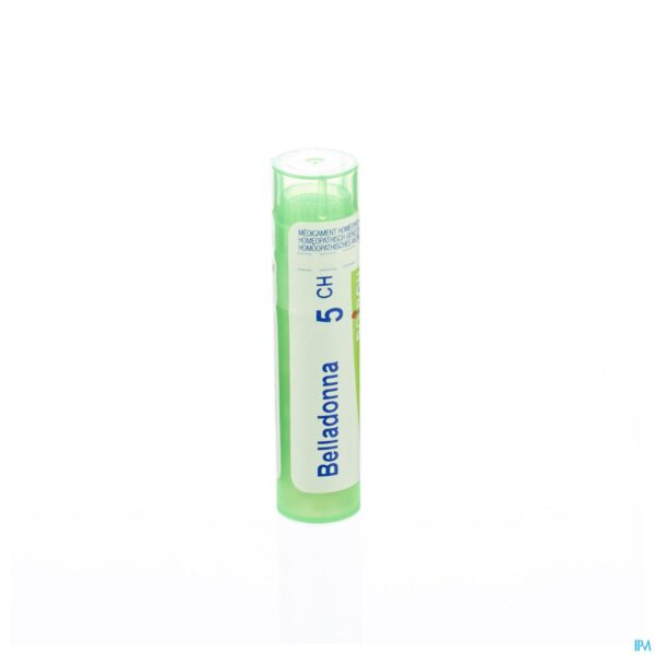 Packshot Belladonna 5ch Gr 4g Boiron
