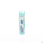 Packshot Lachesis Mutus 200k Gr 4g Boiron