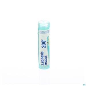Packshot Lachesis Mutus 200k Gr 4g Boiron