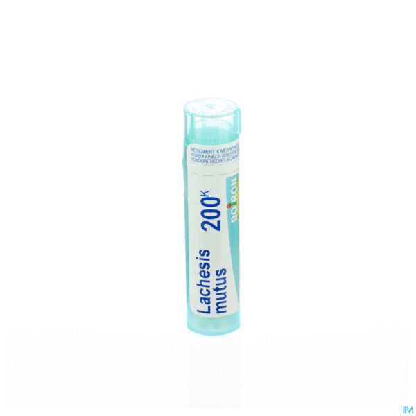 Packshot Lachesis Mutus 200k Gr 4g Boiron