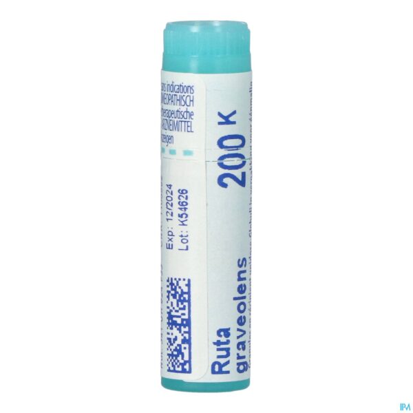 Packshot Ruta Graveolens 200k Gl Boiron