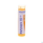 Packshot Staphysagria 15ch Gr 4g Boiron