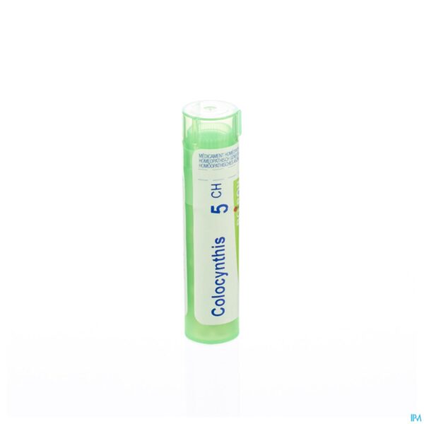 Packshot Colocynthis 5ch Gr 4g Boiron