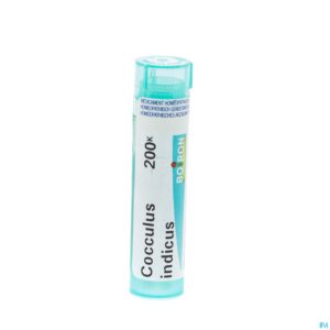 Packshot Cocculus Indicus 200k Gr 4g Boiron