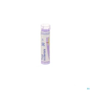 Packshot Thuya Occidentalis 30ch Gr 4g Boiron