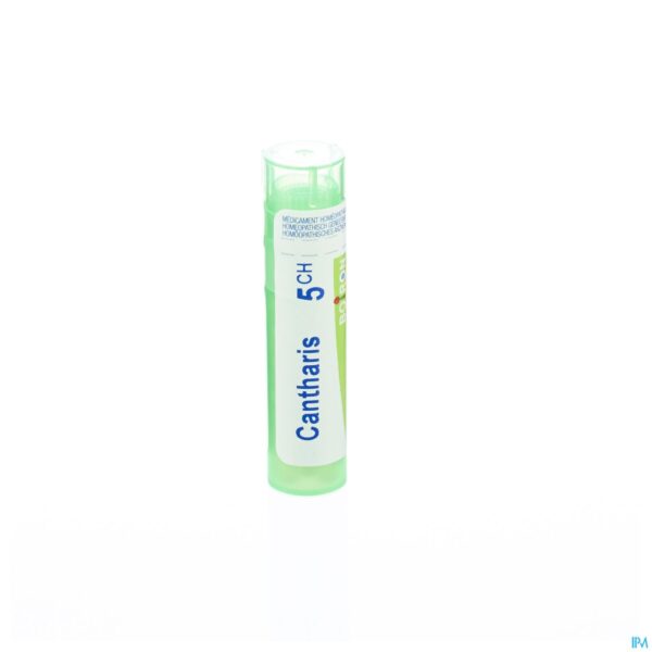 Packshot Cantharis 5ch Gr 4g Boiron