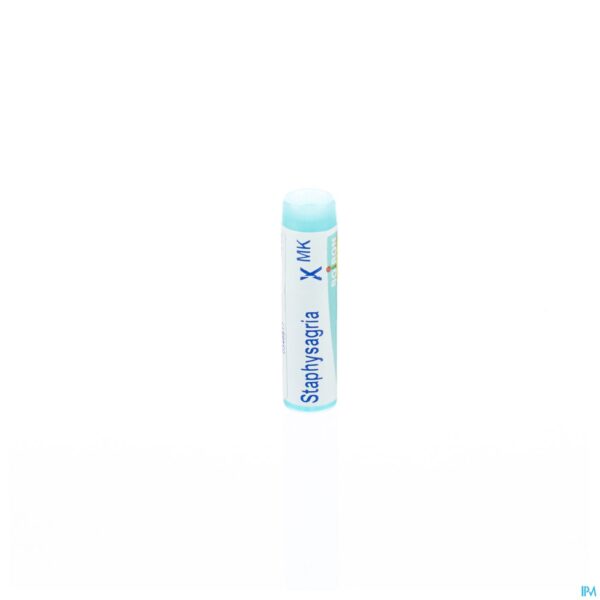 Packshot Staphysagria Xmk Gl Boiron