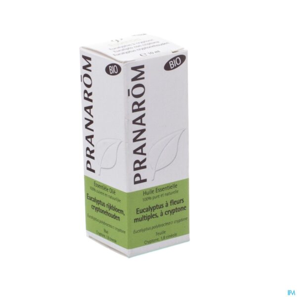 Packshot Pranarom Eo Eucalyptus Cryptone Bio 10ml