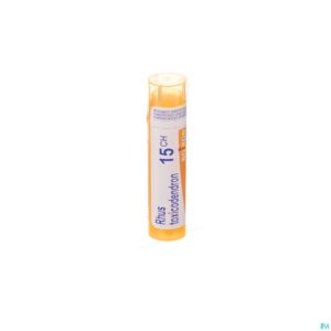 Packshot Rhus Toxicodendron 15ch Gr 4g Boiron