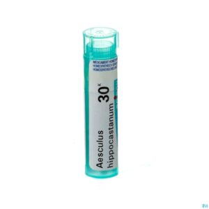 Packshot Aesculus Hippocastanum 30k Gr 4g Boiron