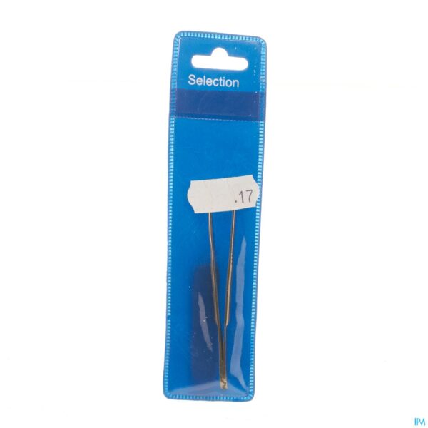 Packshot Selection Epileerpincet Schuin Inox R17