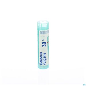 Packshot Berberis Vulgaris 30k Gr 4g Boiron