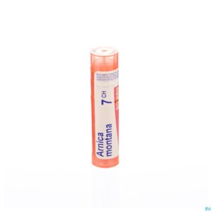 Packshot Arnica Montana 7ch Gr 4g Boiron