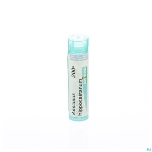 Packshot Aesculus Hippocastanum 200k Gr 4g Boiron