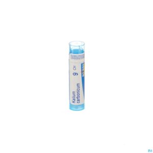 Packshot Kalium Carbonicum 9ch Gr 4g Boiron