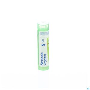 Packshot Hamamelis Virginiana 5ch Gr 4g Boiron