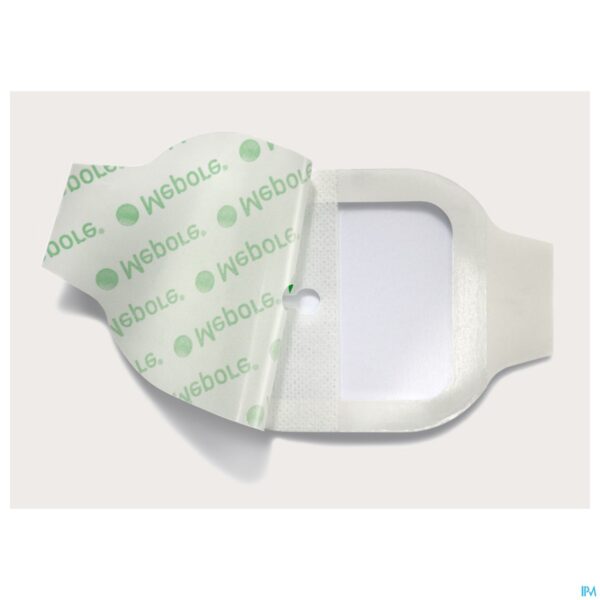 Productshot Mepore Iv Cp/ Kp Ster 10,0x11cm 70 274400