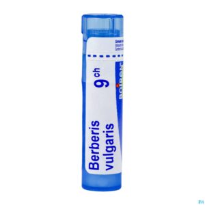 Packshot Berberis Vulgaris 9ch Gr 4g Boiron
