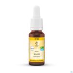 Packshot Bachbloesem Bio N°38 Willow 20ml