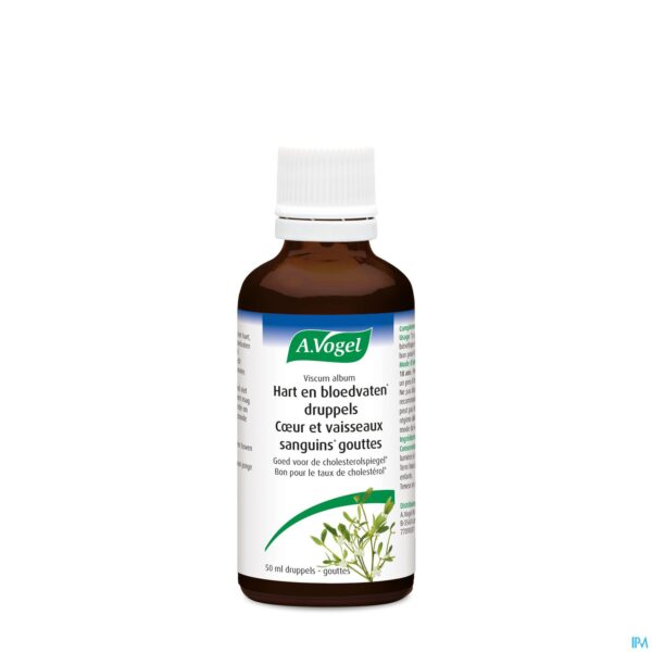 Productshot A.Vogel Viscum Album 50ml Productshot A.Vogel Viscum Album 50ml
