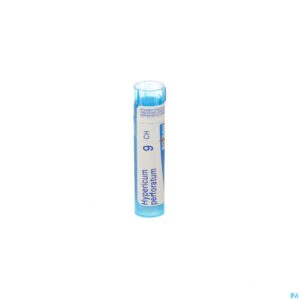 Packshot Hypericum Perforatum 9ch Gr 4g Boiron