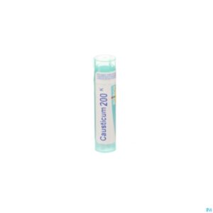 Packshot Causticum Hahnemanni 200k Gr 4g Boiron